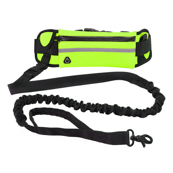 Hands Free Walking/Training Belt w/ Bungee Leash