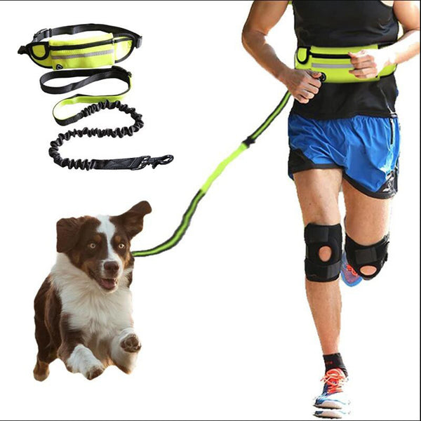 Hands Free Walking/Training Belt w/ Bungee Leash