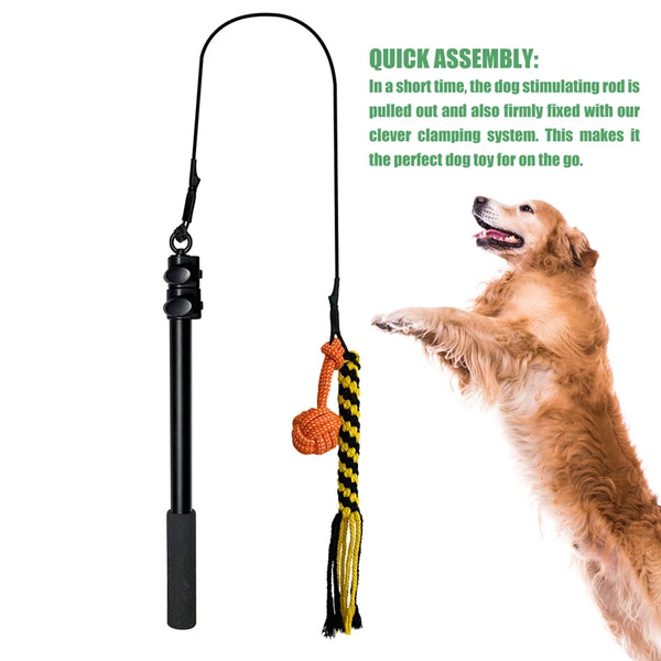 Retractable Flirt Pole Rope Toy with Plush Refill for Outdoor Play and Training