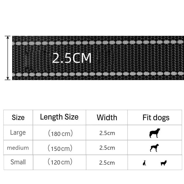 Dual-Handle Heavy Duty Dog Leash