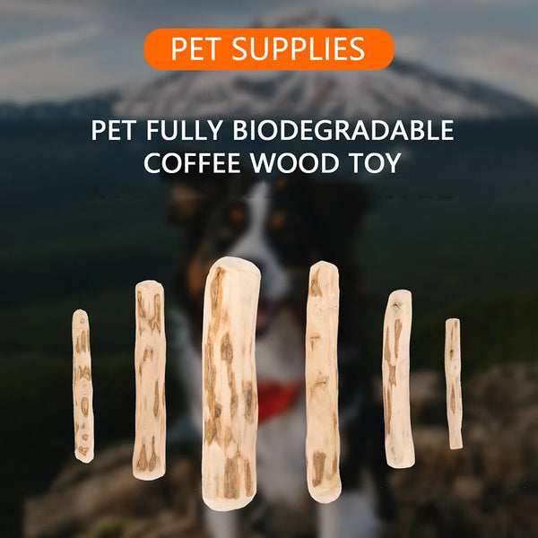 Bite-resistant Wood Chewing Stick For Teething and Grinding