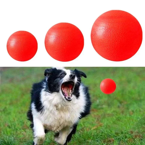 Chew-Resistant Solid Rubber Ball