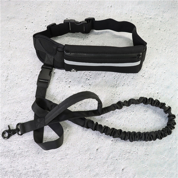 Hands Free Walking/Training Belt w/ Bungee Leash