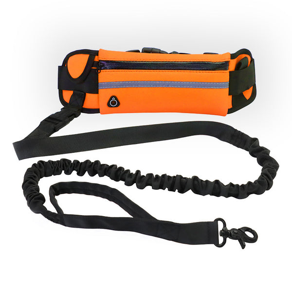 Hands Free Walking/Training Belt w/ Bungee Leash